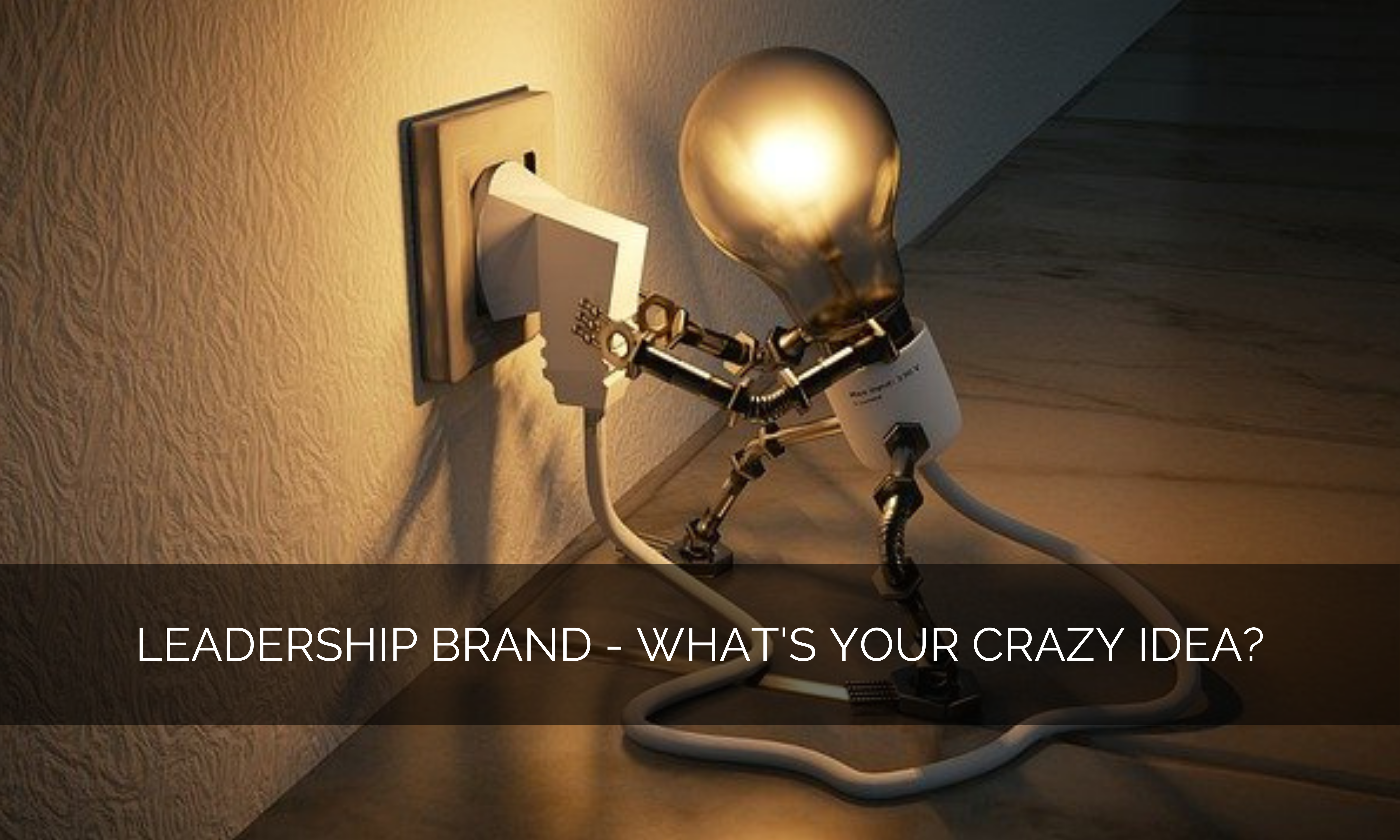 Leadership brand – What’s your crazy idea?