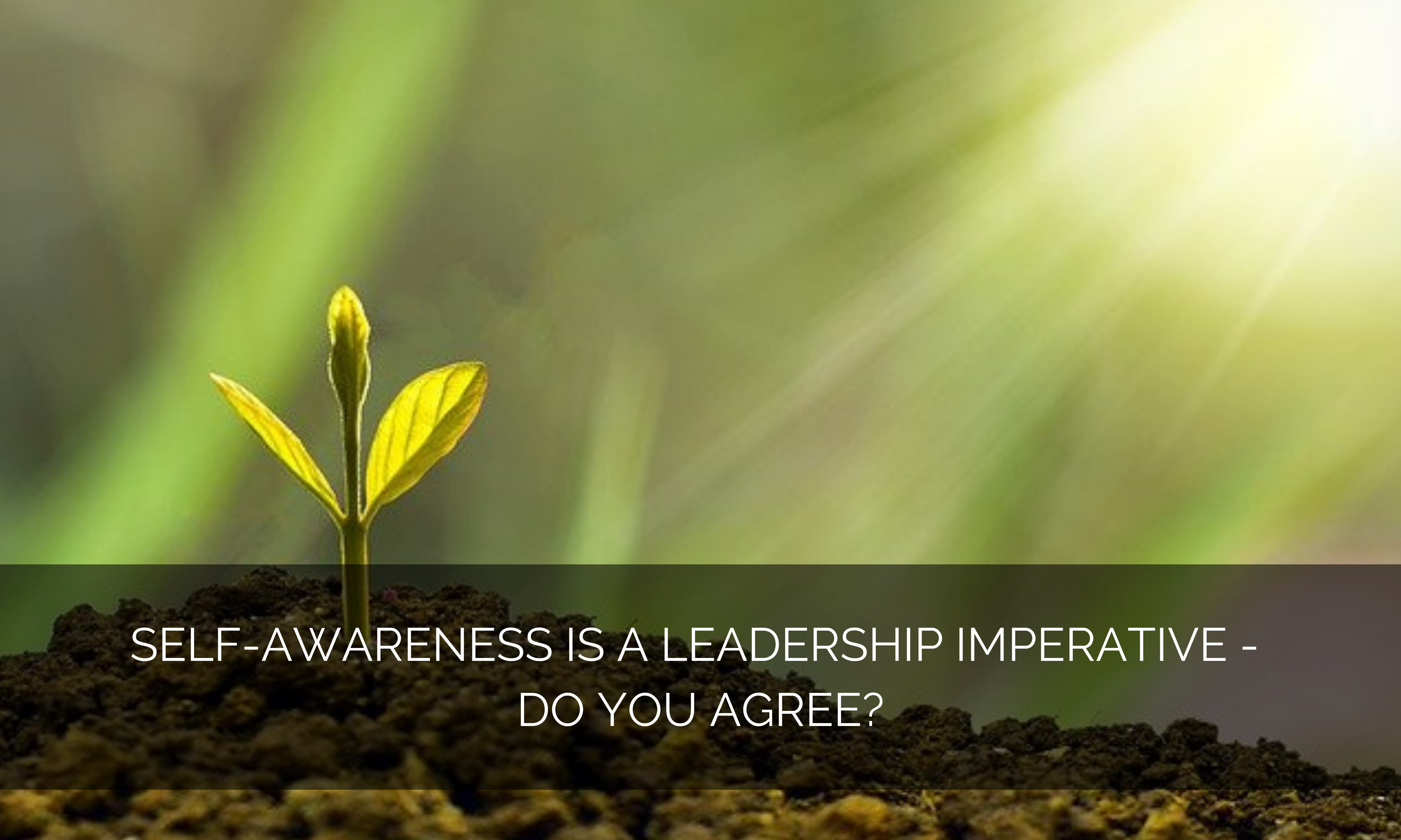 Self-awareness is a leadership imperative – Do you agree?