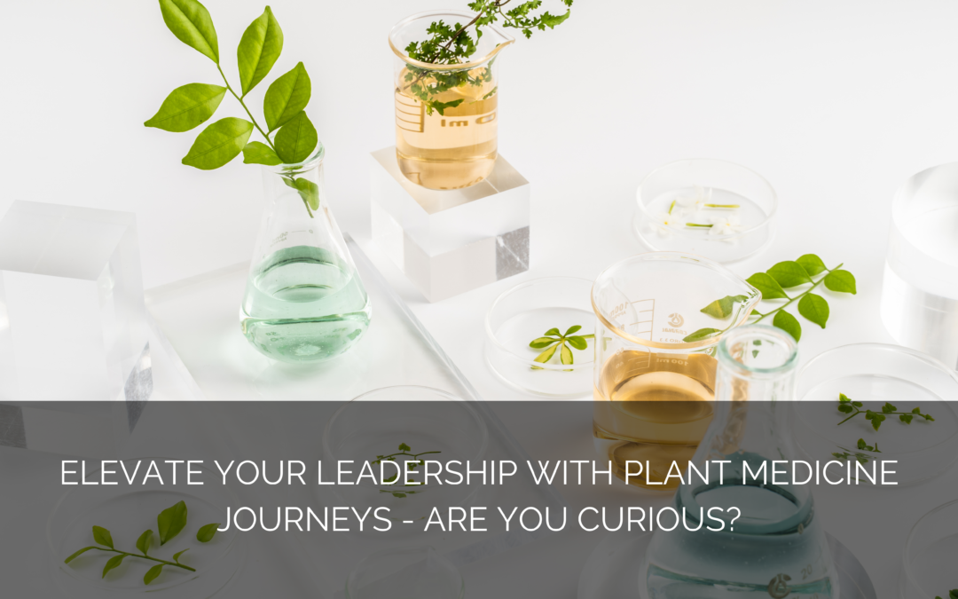 Elevate your leadership with plant medicine journeys – are you curious?