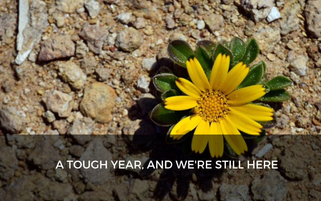 A tough year, and we’re still here – Building resilience with gratitude