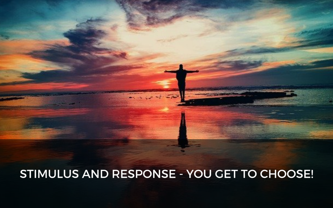 Stimulus and Response – You get to choose