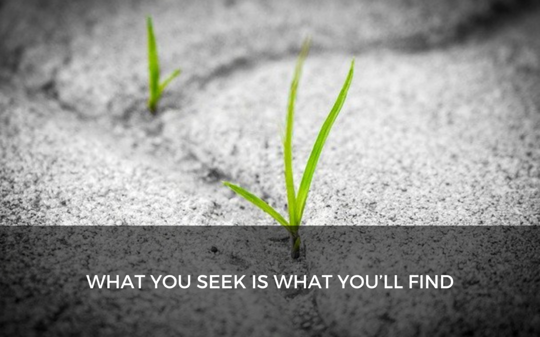 What you seek is what you’ll find